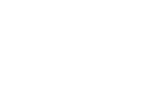 La Première Brique