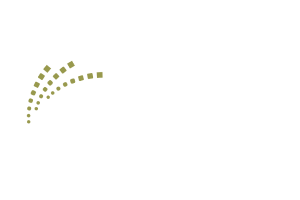 Vatel Direct